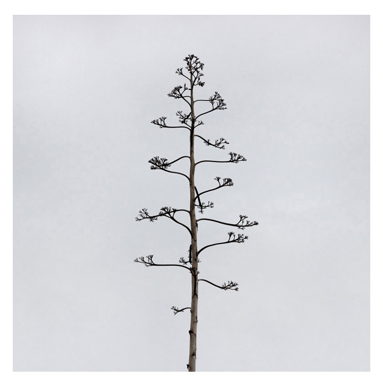 Konstans Zafeiri, greek fine art photographer, awarded artist, urban elements, limited edition photography