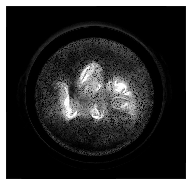 Konstans Zafeiri, greek fine art photographer, awarded artist, Artistic laundry, limited edition photography