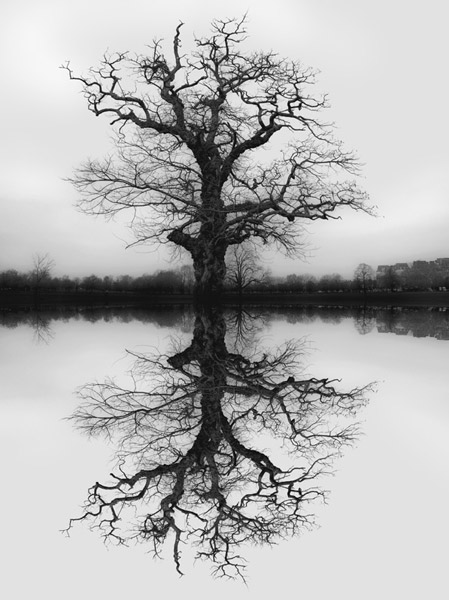 Konstans Zafeiri, fine art photography, greek awarded artist photographer, film analog Black & white, limited edition photography
